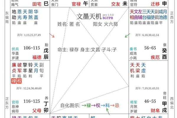 探索紫微命盘：解密命运中的中等命之道
