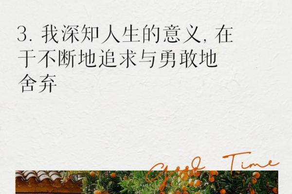 从成语看命运走向，探寻人生的深刻哲理