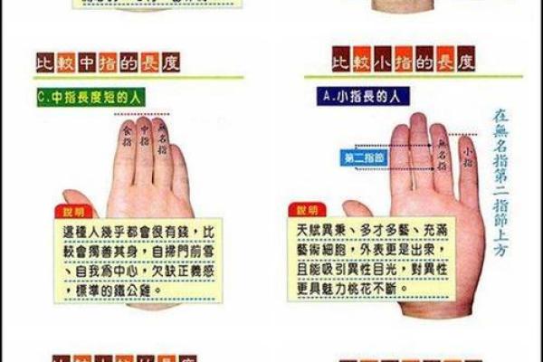 东命西命算法解析：揭示命运与方位的奥秘