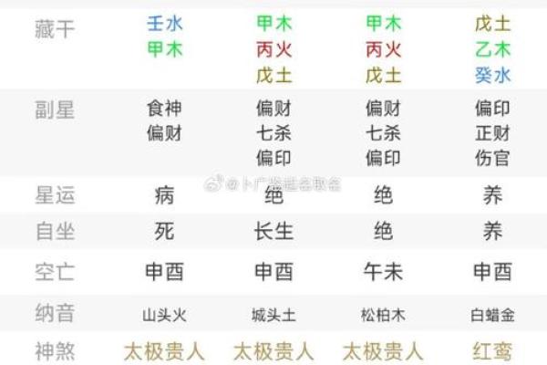 己亥日柱女命的命格解析与生活智慧 己亥日柱女命的命格解析与生活智慧