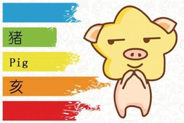 属猪男性的命运与性格特征分析 属猪男性的命运与性格特征分析