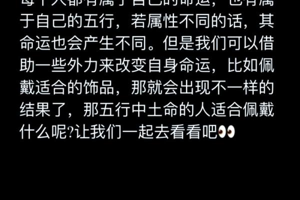 土命人搭档指南：适合的命人与理想搭配解析