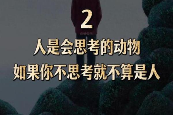 生活的奇妙之处:你有什么便拥有什么的哲学思考 生活的奇妙之处:你有什么便拥有什么的哲学思考