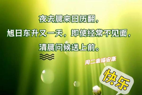 探秘2019年属鸡人的命运与性格特点,助你扬帆人生旅程! 探秘2019年属鸡人的命运与性格特点,助你扬帆人生旅程!
