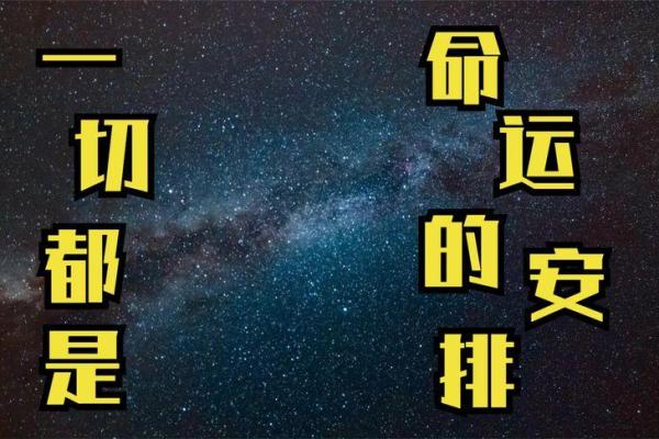 2022虎娃的命运解析：如何把握人生机遇与挑战