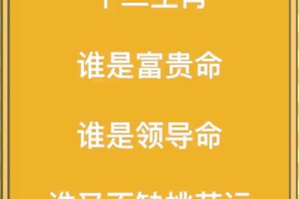 什么生肖最容易拥有桃花运？揭开你的桃花命之谜！