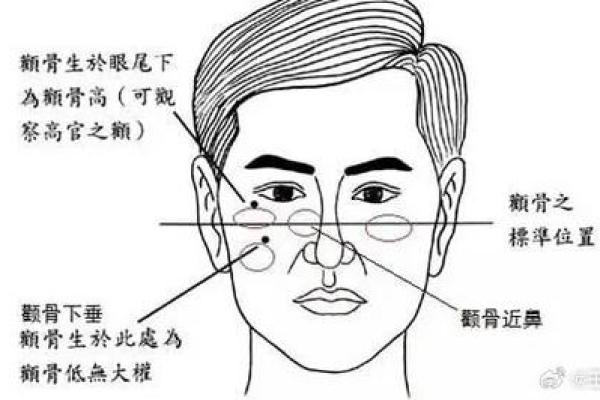 探寻“命”的神秘:从命运到生命的各种词汇解读 探寻“命”的神秘:从命运到生命的各种词汇解读