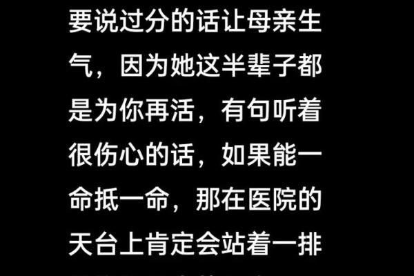 有一命抵一命:深入解读这一古老谚语的意义与启示 有一命抵一命:深入解读这一古老谚语的意义与启示