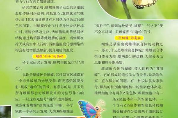 探讨19880729出生命理奥秘：人生的秘密与机遇