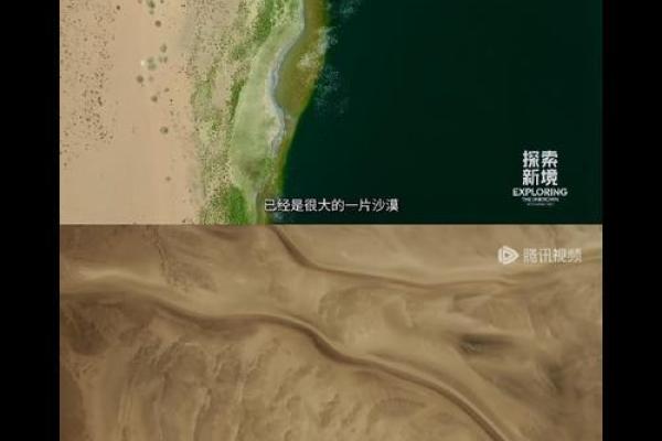 命绳交织，探索人生的无常与选择