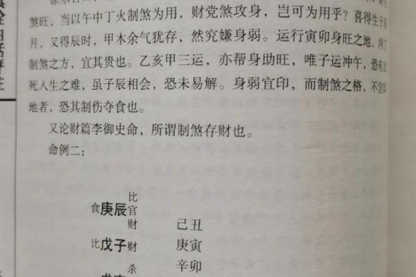 1979年出生的女性:命理解析与人生智慧 1979年出生的女性:命理解析与人生智慧