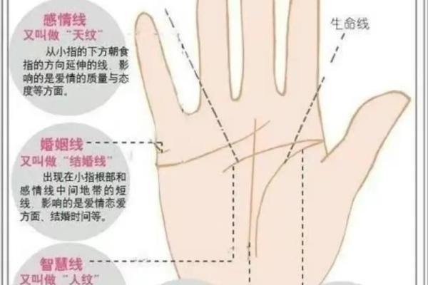 手相揭秘：从掌纹看你的命运走向