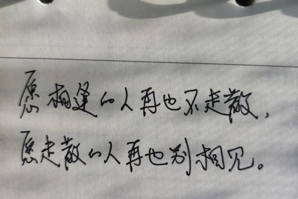 1987年正月12日出生的人命运解析与生活智慧 1987年正月12日出生的人命运解析与生活智慧
