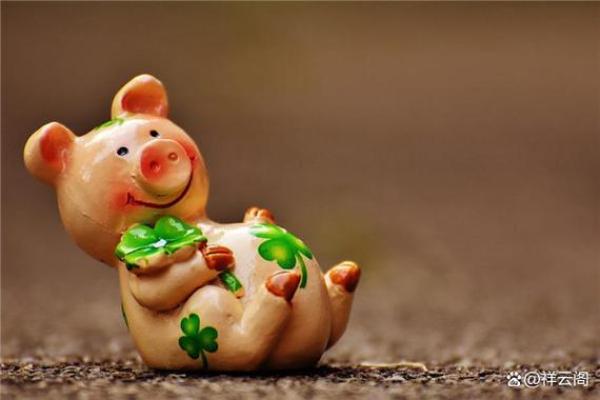 2019年属猪人命运解析:好运与挑战并存的一年 2019年属猪人命运解析:好运与挑战并存的一年