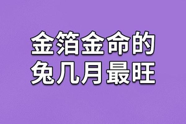 早晨出生的属兔人:幸福人生的好运命运分析 早晨出生的属兔人:幸福人生的好运命运分析