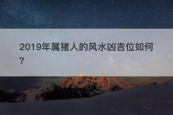 2019年属猪人命运解析:好运与挑战并存的一年 2019年属猪人命运解析:好运与挑战并存的一年