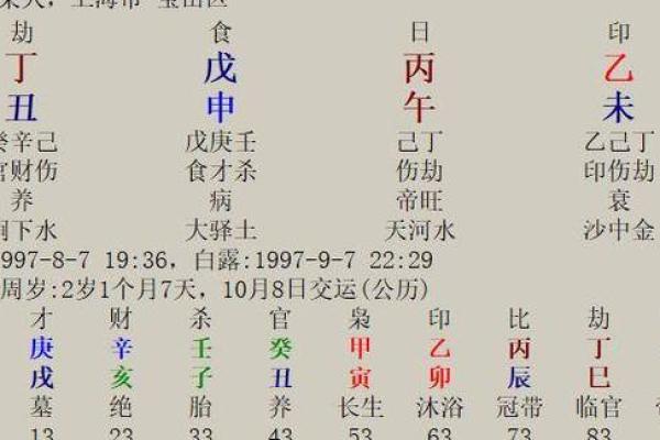 深度解析:食神命格女命的魅力与命运之路 深度解析:食神命格女命的魅力与命运之路