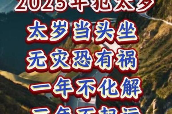 1965年属蛇的人：命运解析与生活智慧