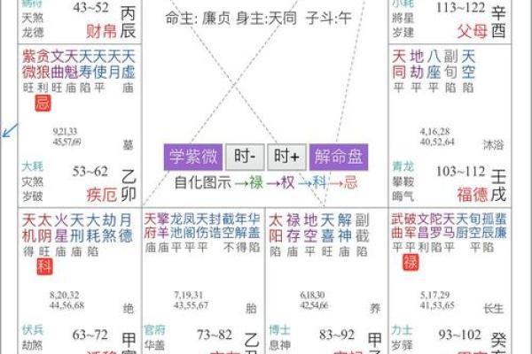 探索紫薇命盘中的富贵之道，揭示成功人生的奥秘！
