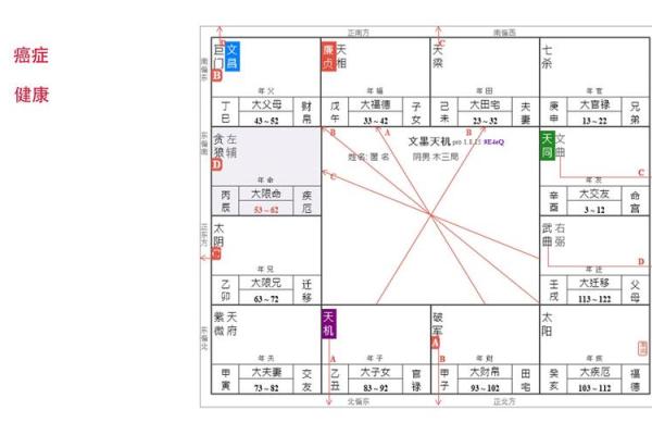 探索紫薇命盘中的富贵之道，揭示成功人生的奥秘！