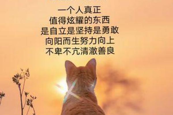 女命六个阳是什么命？探秘女性命理中的阳光力量！