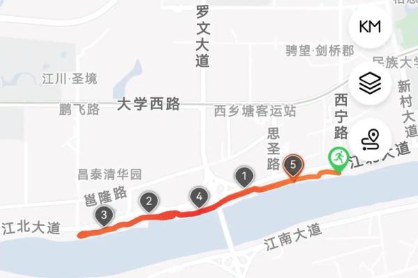 93年出生属鸡的命运分析:机遇与挑战并存的生活轨迹 93年出生属鸡的命运分析:机遇与挑战并存的生活轨迹