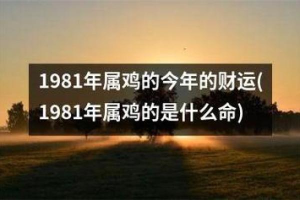 93年出生属鸡的命运分析:机遇与挑战并存的生活轨迹 93年出生属鸡的命运分析:机遇与挑战并存的生活轨迹