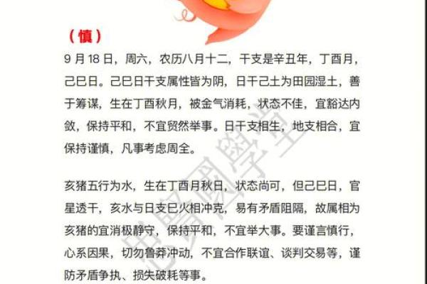 2007年属猪男孩命理解析:阳光性格与未来潜力的完美结合 2007年属猪男孩命理解析:阳光性格与未来潜力的完美结合