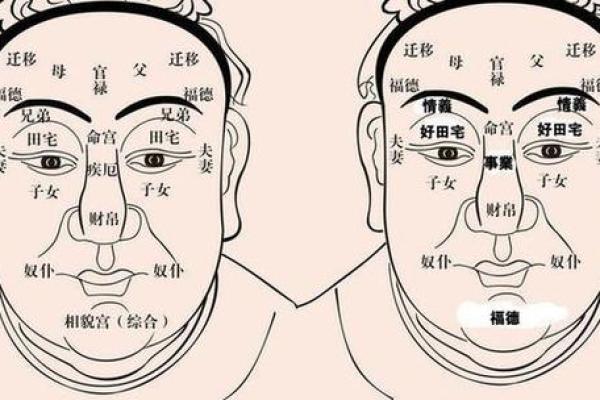 79年射手男的命运解密：探索他们的性格与人生轨迹