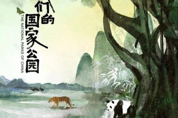 2017火鸡：解密奇幻命运与生存智慧的传奇之旅