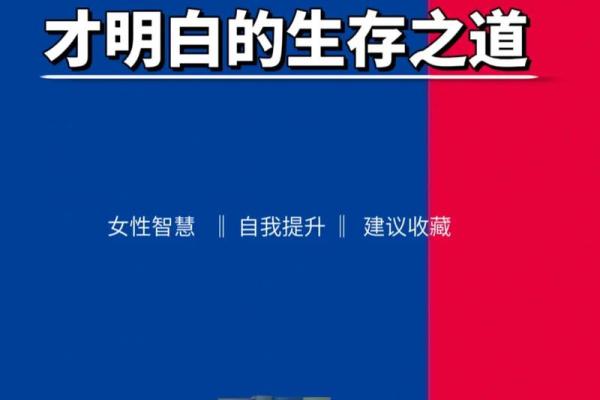 2017火鸡：解密奇幻命运与生存智慧的传奇之旅