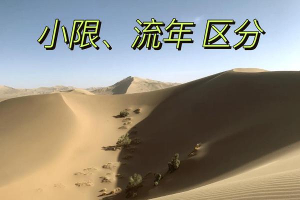 2022年属宝宝的命运解析：揭示新生代的命理奥秘与未来展望