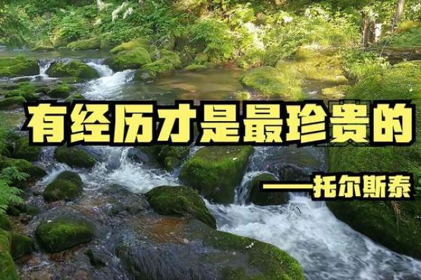 深入解读小财命:掌握隐藏的财富能力与人生机遇 深入解读小财命:掌握隐藏的财富能力与人生机遇