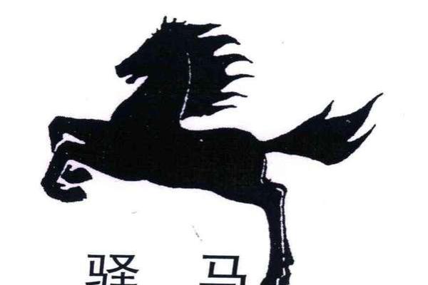 命里犯驿马的人，注定一生多变，徘徊于风雨之中的命！