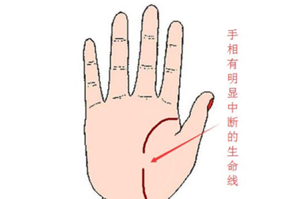 命运线与人生的启示：诠释“命”与“线”的深刻联系