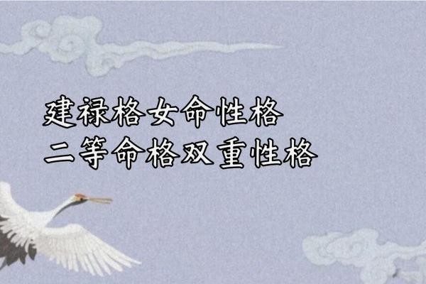 命盘与命格的深度解析：命运的双重展现