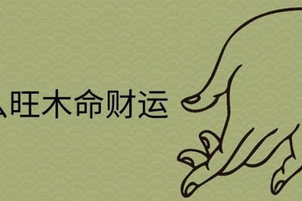 木命解析：木命的含义与生活智慧