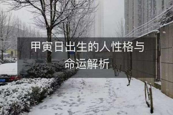 解密1986年3月出生者的命运与个性特点