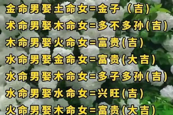 金命与木命结合的和谐美妙：相互作用的注意事项