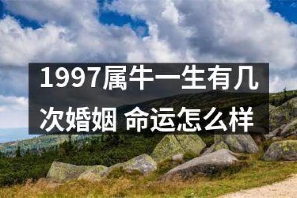 1985属牛人的命运解析：踏实与努力的真实写照