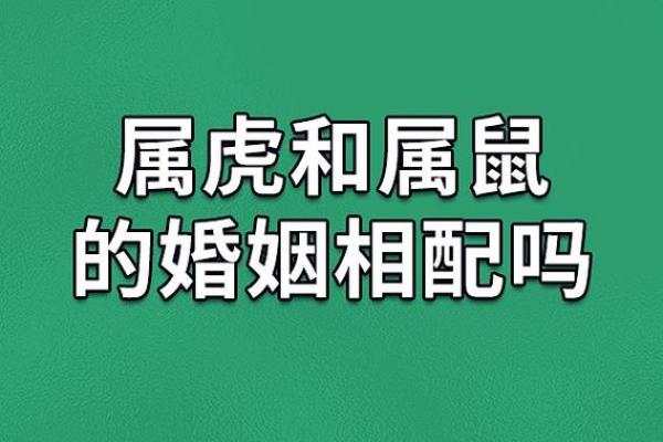 属虎炉中火命的人适合与哪些命相配？探讨五行相生！
