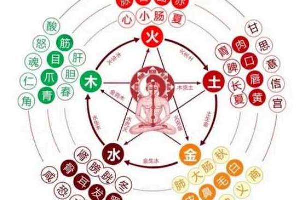 木命土命的判断依据：五行学说与命理探秘