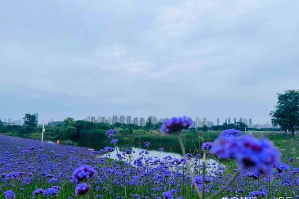 2018年的人生与命运：如何通过名字改变未来