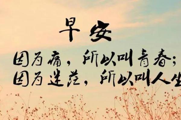 不同体型与命运的成语解读：从生活看自我认知与人生哲理