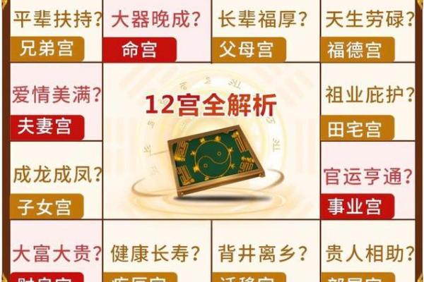 1982命格解析：了解你的命运与性格特征