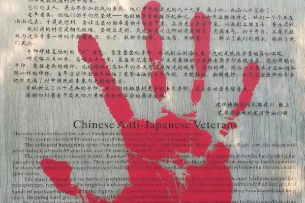 1976年出生者命运分析：探索个性与发展的多样道路