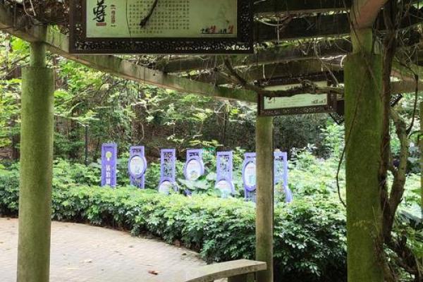 1962年出生的人：命运、性格与人生旅程的探索
