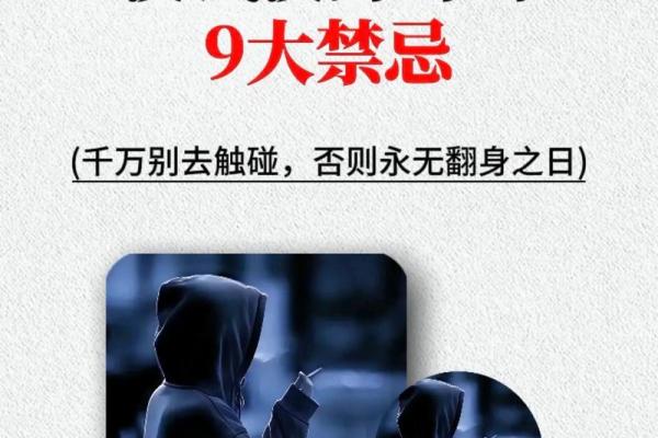 探寻火命木猪命理之美与人生智慧