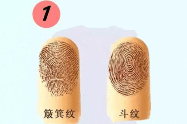 通过手指探秘命格：看你的命运如何被指尖所书写！