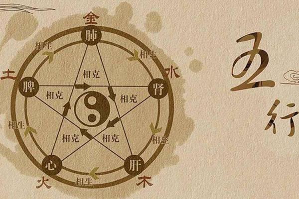 大林木命与土命的完美结合：探寻命理中的互补之道